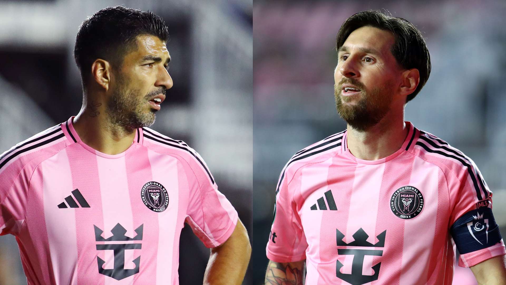 是一个重要 是一个重要